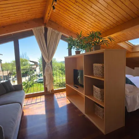 Allotjaments Pirineus Apartament Molló